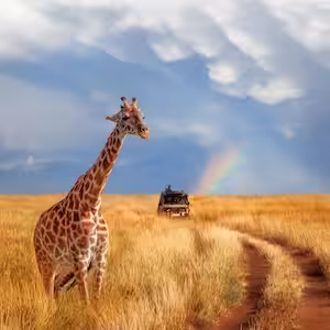 Maasai Mara National Park