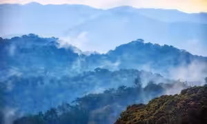 Nyungwe Forest National Park